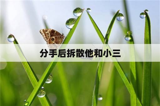 分手后拆散他和小三