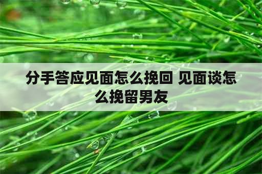 分手答应见面怎么挽回 见面谈怎么挽留男友