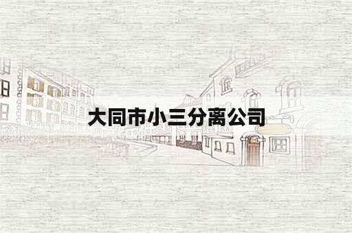 大同市小三分离公司