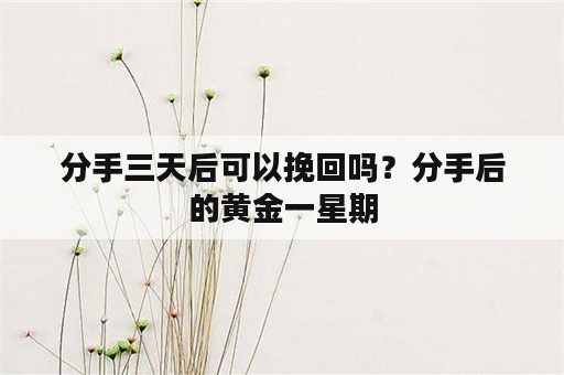 分手三天后可以挽回吗？分手后的黄金一星期