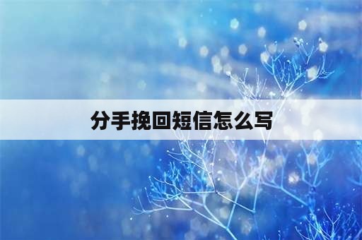 分手挽回短信怎么写