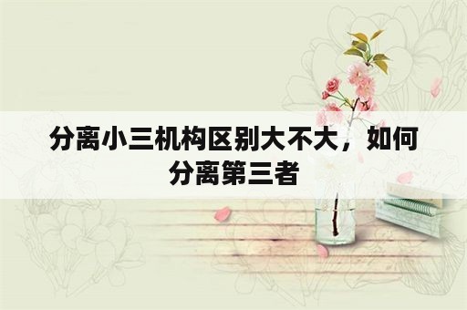 分离小三机构区别大不大，如何分离第三者