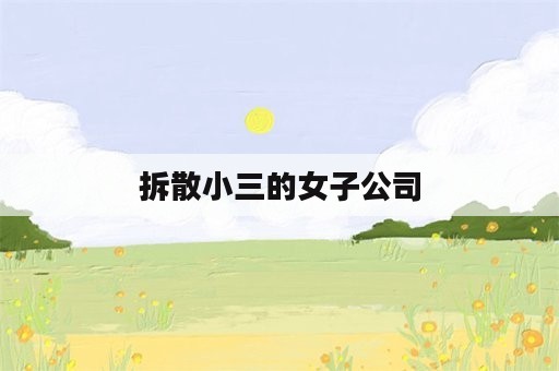 拆散小三的女子公司