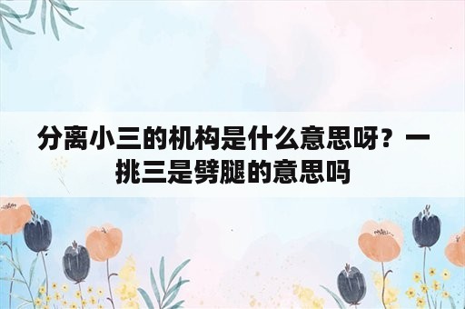 分离小三的机构是什么意思呀？一挑三是劈腿的意思吗