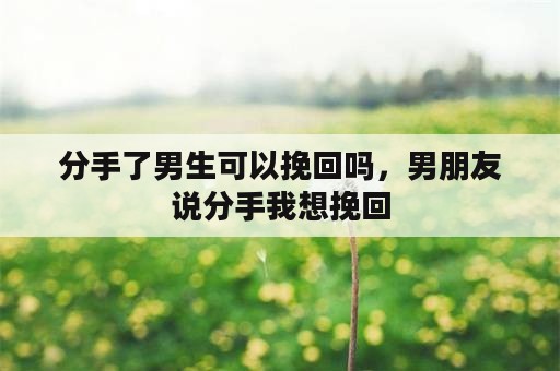 分手了男生可以挽回吗，男朋友说分手我想挽回