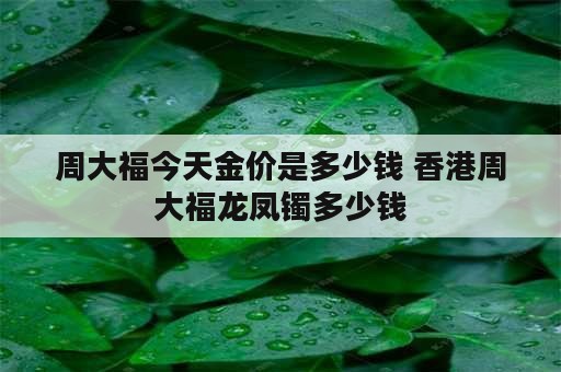 周大福今天金价是多少钱 香港周大福龙凤镯多少钱