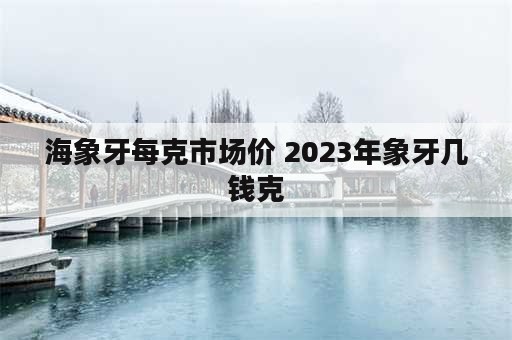 海象牙每克市场价 2023年象牙几钱克