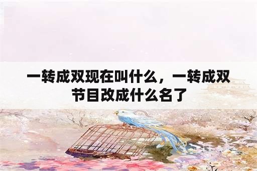 一转成双现在叫什么，一转成双节目改成什么名了