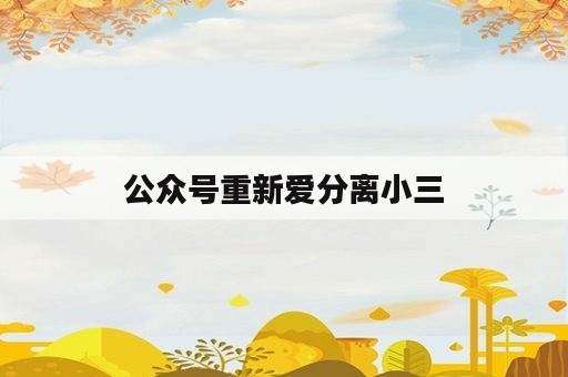 公众号重新爱分离小三