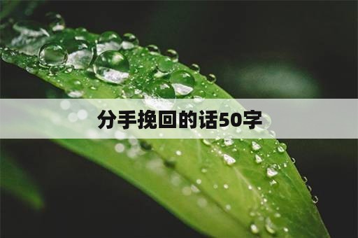 分手挽回的话50字