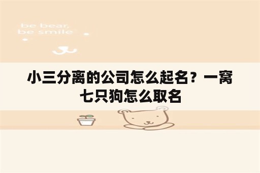 小三分离的公司怎么起名？一窝七只狗怎么取名