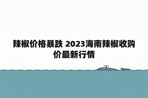 辣椒价格暴跌 2023海南辣椒收购价最新行情