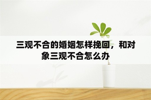 三观不合的婚姻怎样挽回，和对象三观不合怎么办