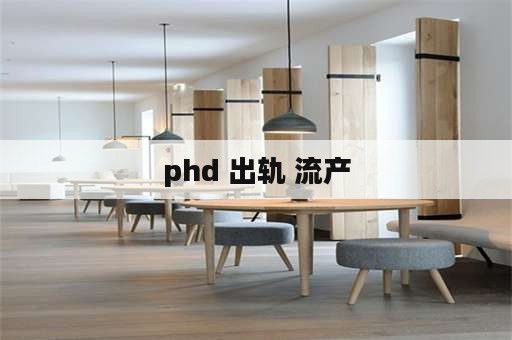 phd 出轨 流产