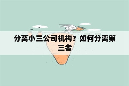 分离小三公司机构？如何分离第三者