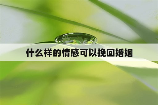 什么样的情感可以挽回婚姻