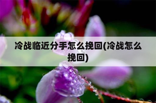 冷战临近分手怎么挽回(冷战怎么挽回)