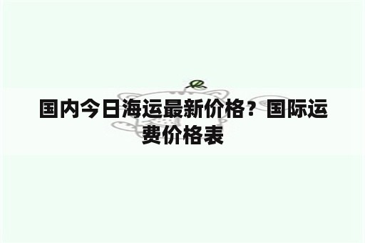 国内今日海运最新价格？国际运费价格表