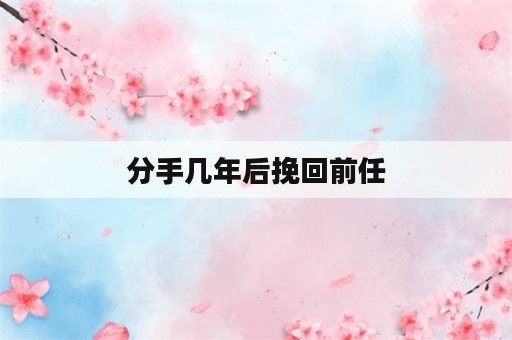 分手几年后挽回前任