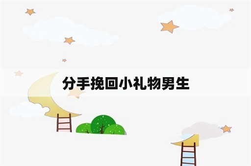 分手挽回小礼物男生