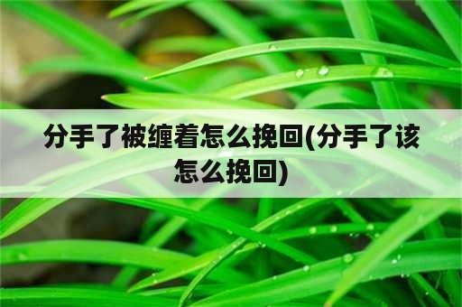 分手了被缠着怎么挽回(分手了该怎么挽回)