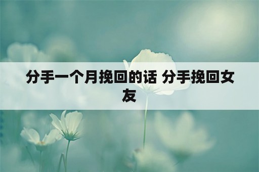 分手一个月挽回的话 分手挽回女友