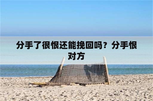 分手了很恨还能挽回吗？分手恨对方