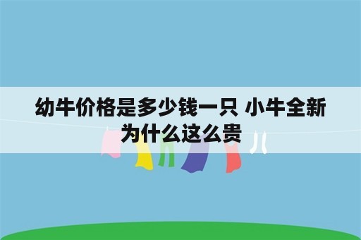 幼牛价格是多少钱一只 小牛全新为什么这么贵