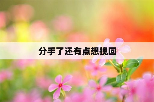 分手了还有点想挽回