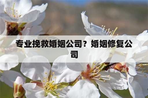 专业挽救婚姻公司？婚姻修复公司