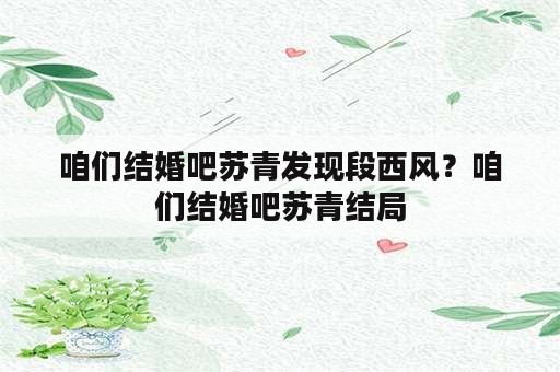 咱们结婚吧苏青发现段西风？咱们结婚吧苏青结局