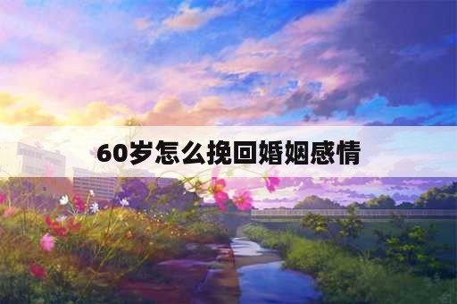 60岁怎么挽回婚姻感情