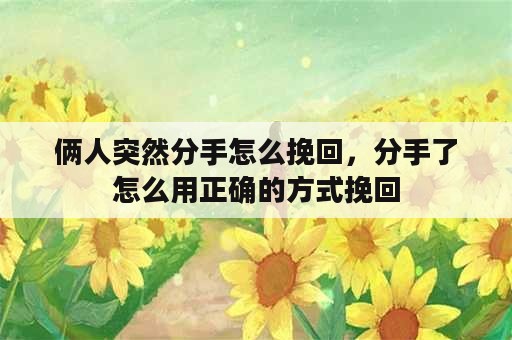 俩人突然分手怎么挽回，分手了怎么用正确的方式挽回