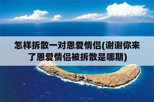 怎样拆散一对恩爱情侣(谢谢你来了恩爱情侣被拆散是哪期)