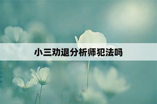 小三劝退分析师犯法吗