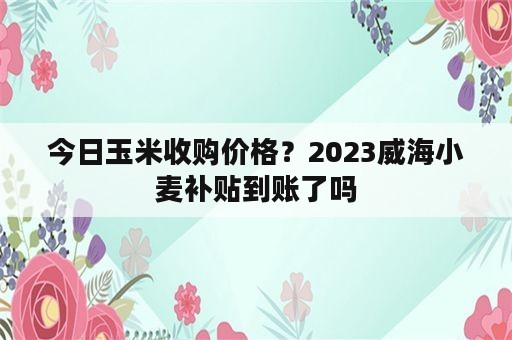 今日玉米收购价格？2023威海小麦补贴到账了吗