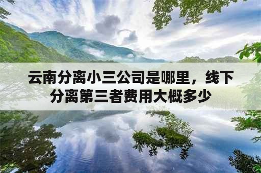 云南分离小三公司是哪里，线下分离第三者费用大概多少