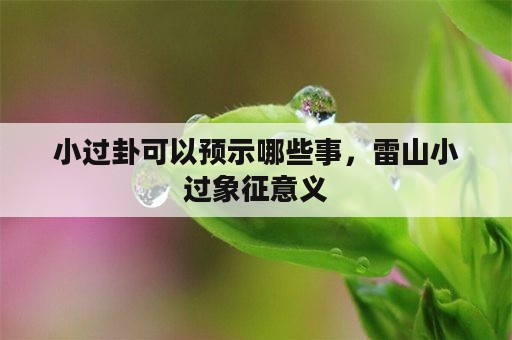 小过卦可以预示哪些事，雷山小过象征意义