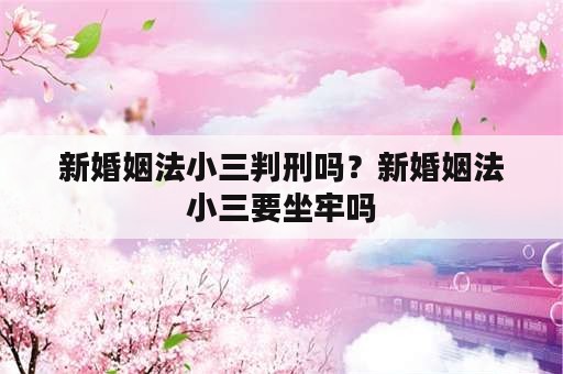 新婚姻法小三判刑吗？新婚姻法小三要坐牢吗