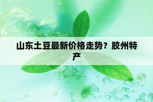 山东土豆最新价格走势？胶州特产