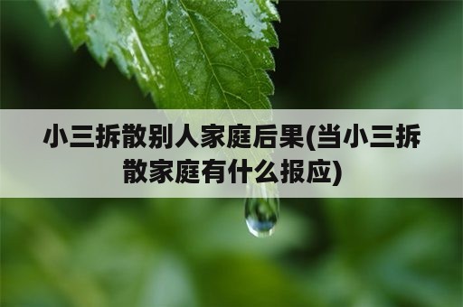 小三拆散别人家庭后果(当小三拆散家庭有什么报应)