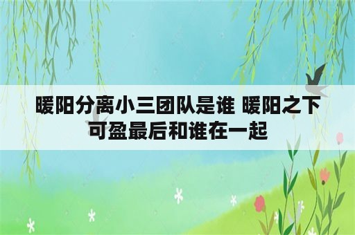 暖阳分离小三团队是谁 暖阳之下可盈最后和谁在一起