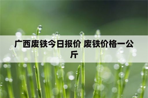 广西废铁今日报价 废铁价格一公斤