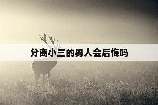 分离小三的男人会后悔吗