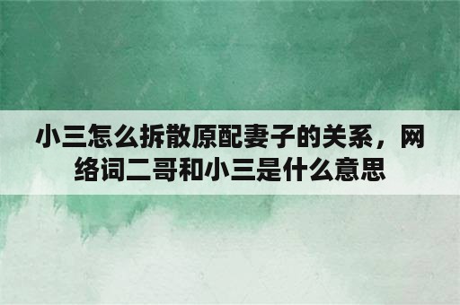 小三怎么拆散原配妻子的关系，网络词二哥和小三是什么意思