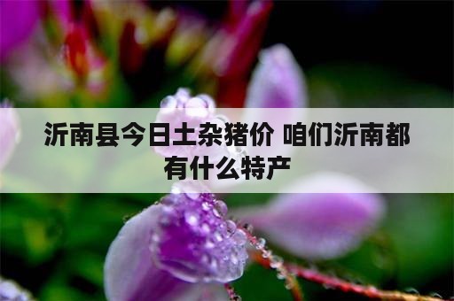 沂南县今日土杂猪价 咱们沂南都有什么特产