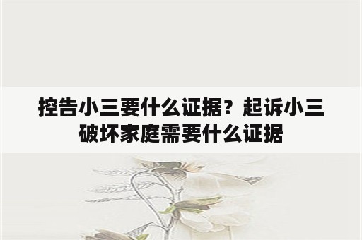 控告小三要什么证据？起诉小三破坏家庭需要什么证据