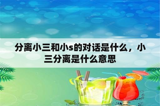 分离小三和小s的对话是什么，小三分离是什么意思