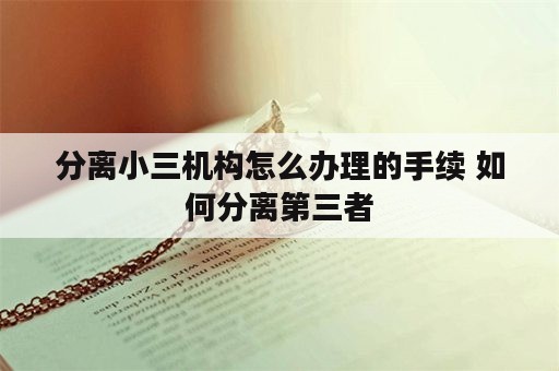 分离小三机构怎么办理的手续 如何分离第三者