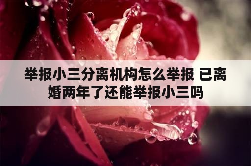 举报小三分离机构怎么举报 已离婚两年了还能举报小三吗